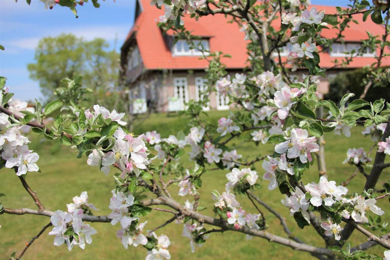 Landhaus Fuenfseen 外观 照片